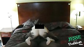 Khá Foxy ngồi trên m ...